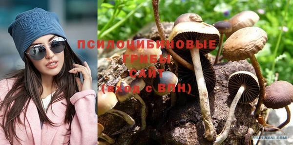 МДПВ Алексин