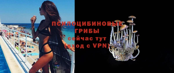 молекула духа Алексеевка