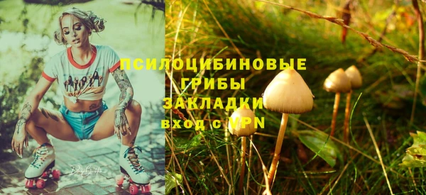 шишки Алзамай