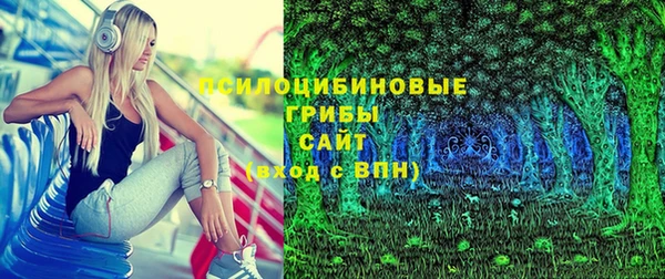 молекула духа Алексеевка