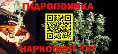 бошки Пенза