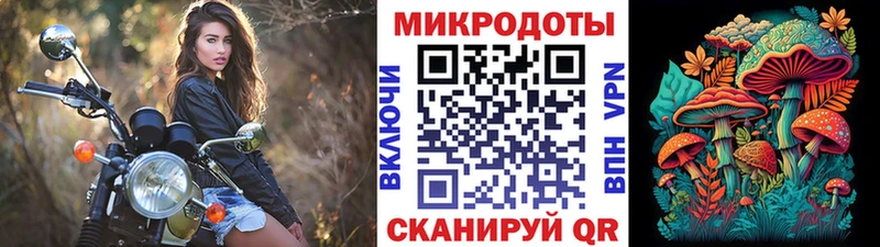 Галлюциногенные грибы Psilocybe  Чусовой 