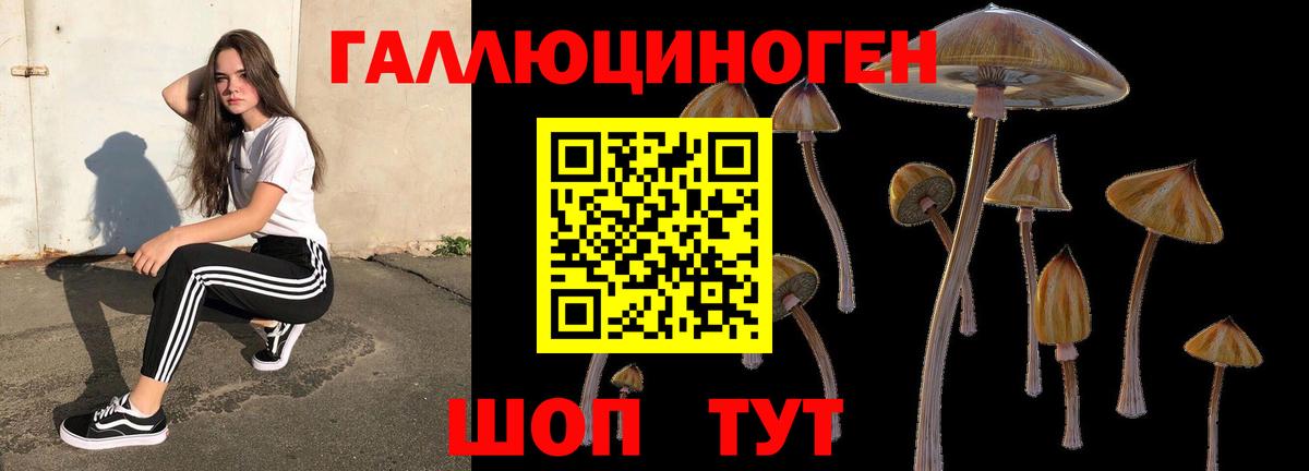 Чусовой  Псилоцибиновые грибы прущие грибы  Вход с VPN 