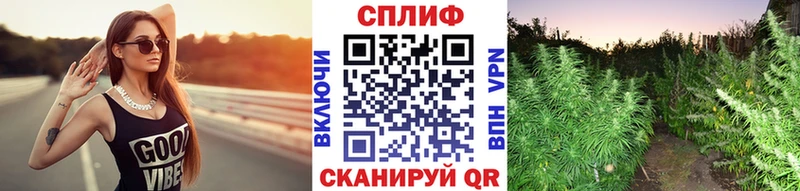 наркота  Чусовой  Канабис сатива 