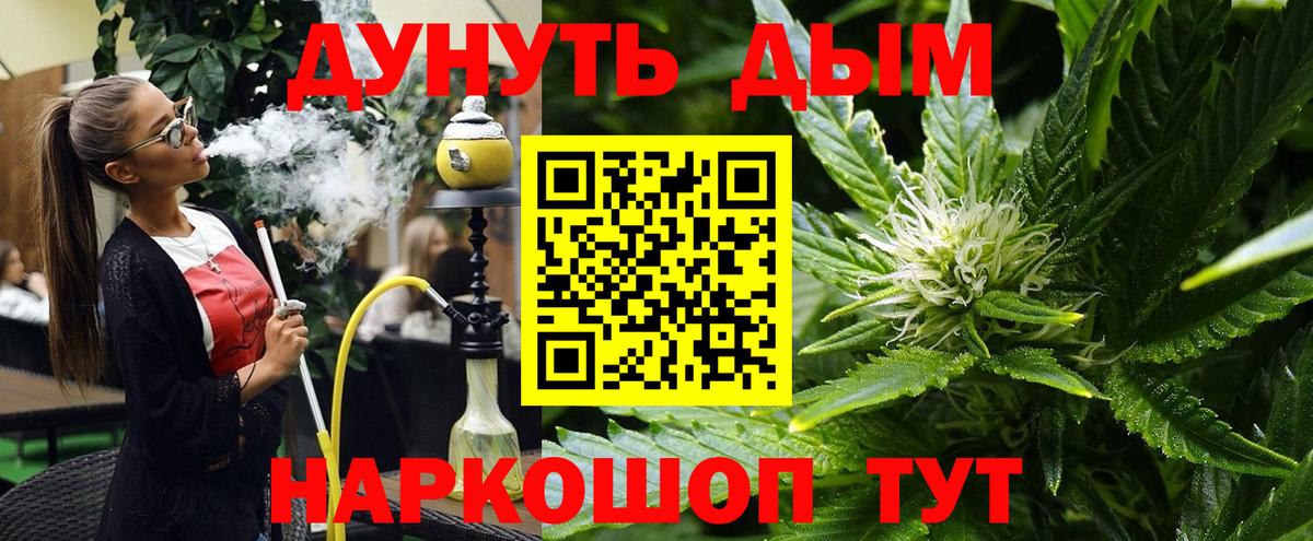 Конопля планчик Чусовой